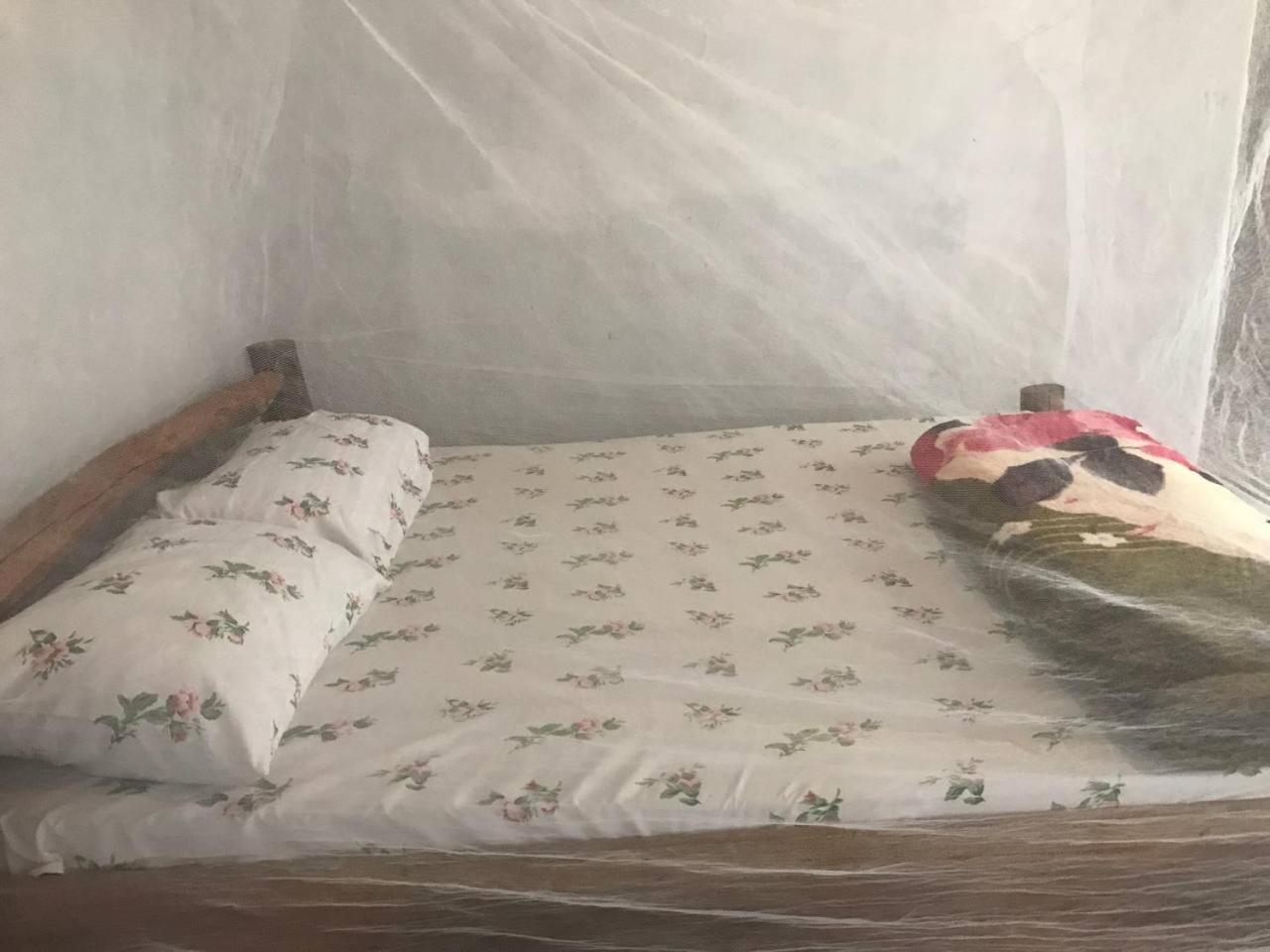 Apartmán Sipi Backpackers Kapchorwa Pokoj fotografie